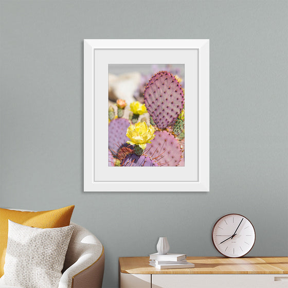 "Dollarjoint Prickly Pear Cactus Flower"