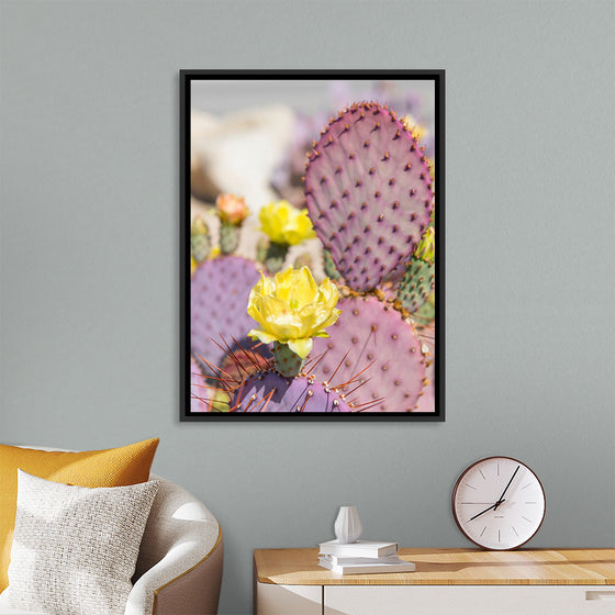 "Dollarjoint Prickly Pear Cactus Flower"