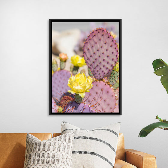 "Dollarjoint Prickly Pear Cactus Flower"