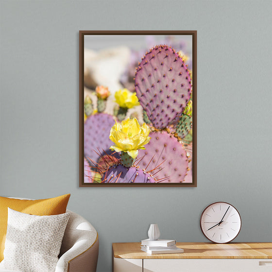 "Dollarjoint Prickly Pear Cactus Flower"