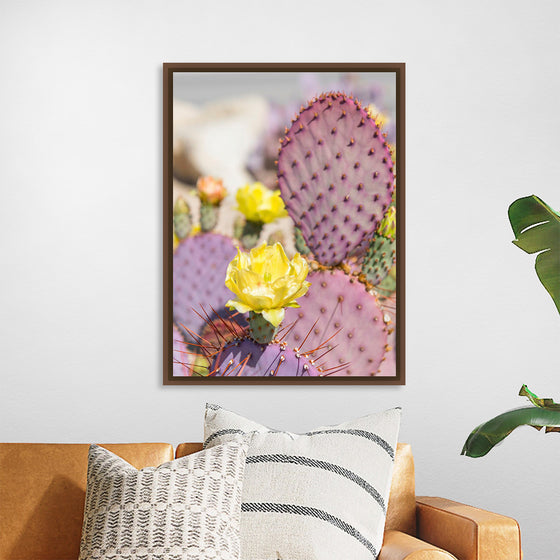 "Dollarjoint Prickly Pear Cactus Flower"