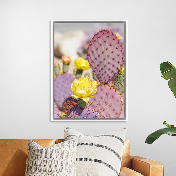 "Dollarjoint Prickly Pear Cactus Flower"