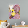 "Dollarjoint Prickly Pear Cactus Flower"