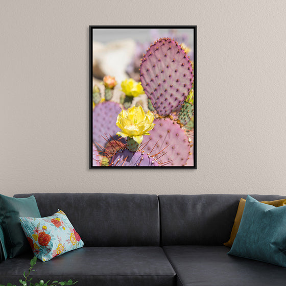 "Dollarjoint Prickly Pear Cactus Flower"