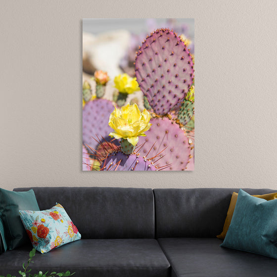 "Dollarjoint Prickly Pear Cactus Flower"