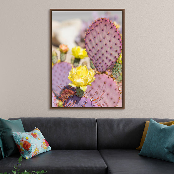 "Dollarjoint Prickly Pear Cactus Flower"