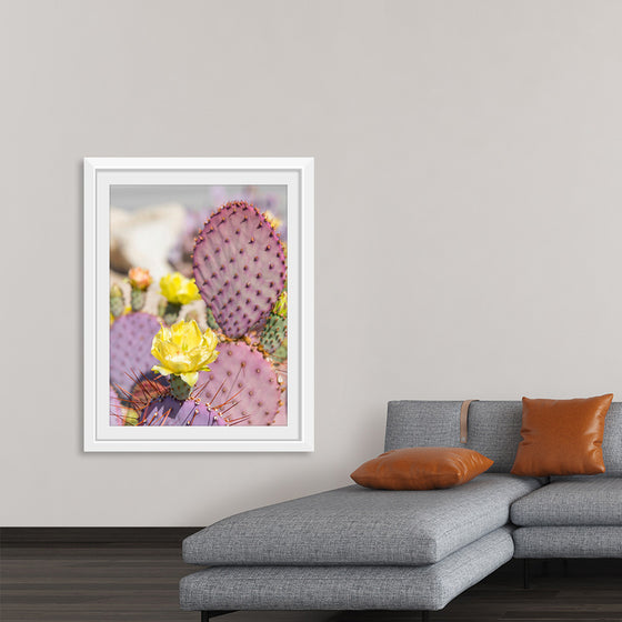 "Dollarjoint Prickly Pear Cactus Flower"