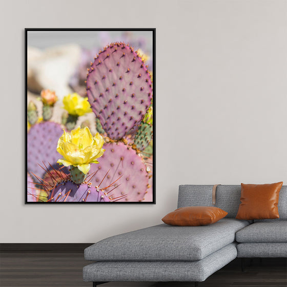 "Dollarjoint Prickly Pear Cactus Flower"