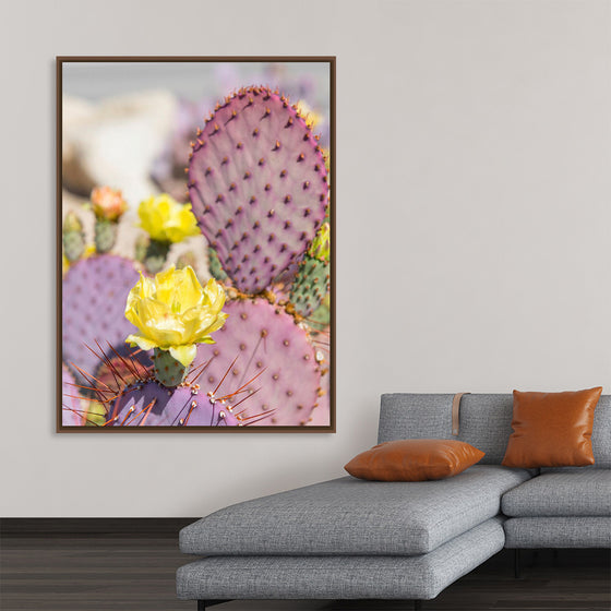 "Dollarjoint Prickly Pear Cactus Flower"