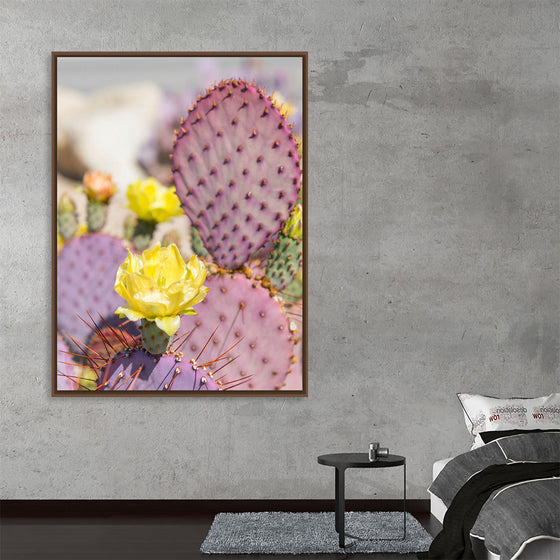 "Dollarjoint Prickly Pear Cactus Flower"