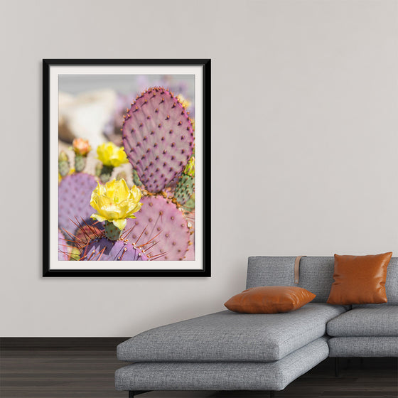 "Dollarjoint Prickly Pear Cactus Flower"