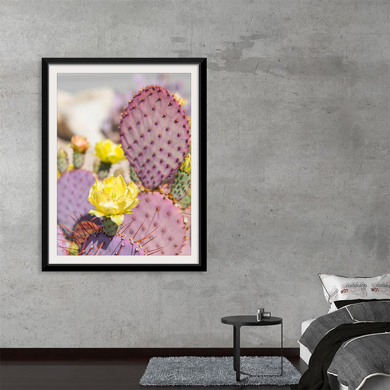 "Dollarjoint Prickly Pear Cactus Flower"