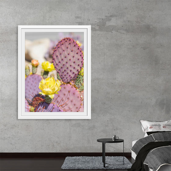 "Dollarjoint Prickly Pear Cactus Flower"