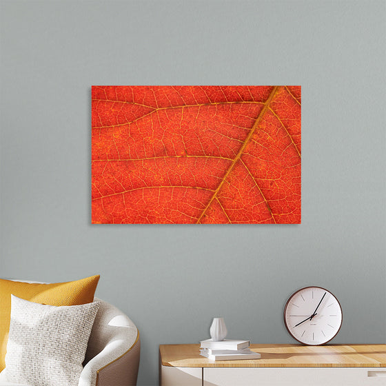 "Autumn Leaf"