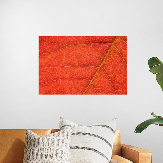 "Autumn Leaf"