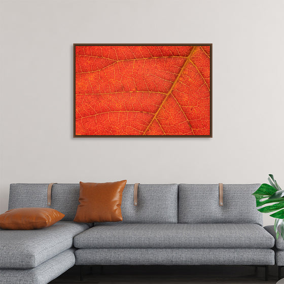 "Autumn Leaf"