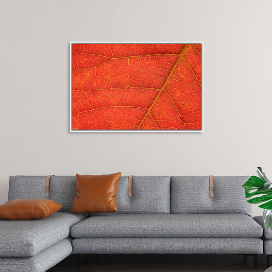 "Autumn Leaf"