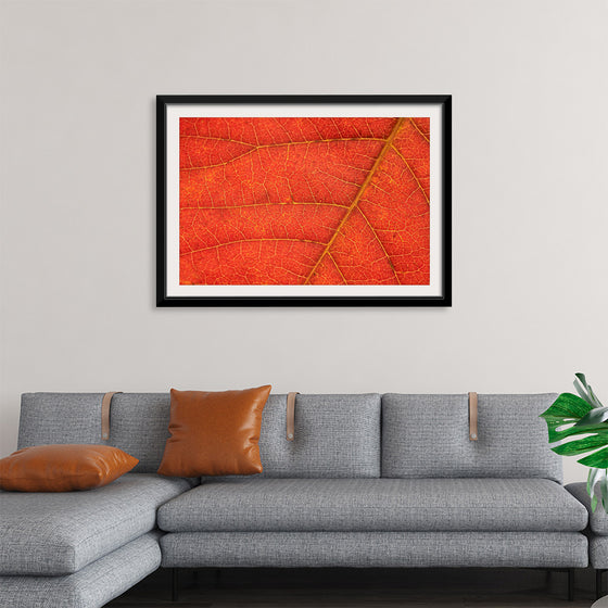 "Autumn Leaf"