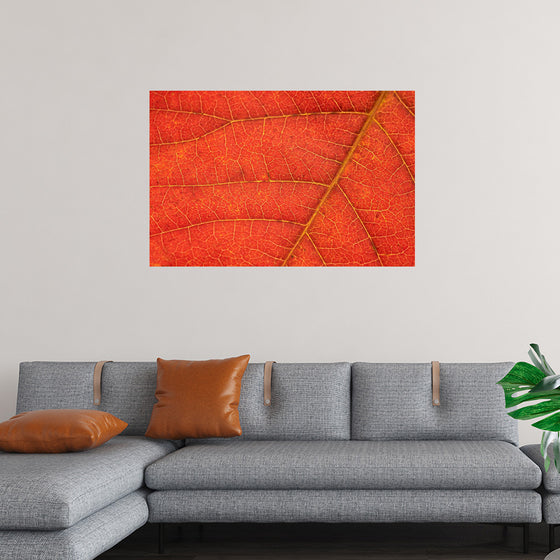 "Autumn Leaf"