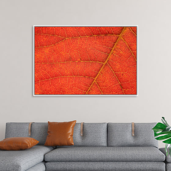 "Autumn Leaf"