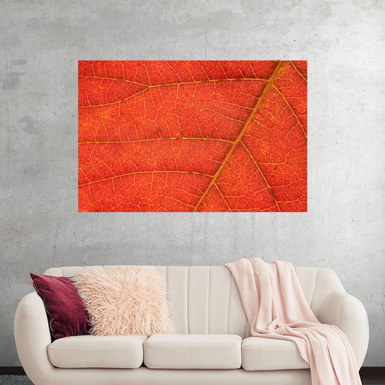 "Autumn Leaf"