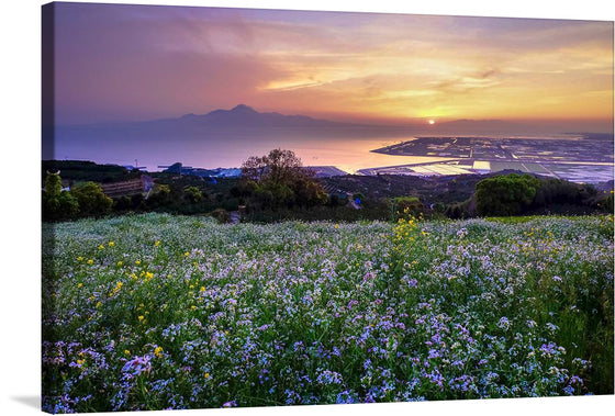 Immerse yourself in the serene beauty of this exquisite print, capturing a breathtaking landscape where nature and light converge in harmonious splendor. A field of delicate wildflowers, bathed in the soft hues of twilight, stretches out towards a tranquil sea that mirrors the radiant colors of the setting sun. In the distance, majestic mountains stand as silent witnesses to this dance of natural elegance.