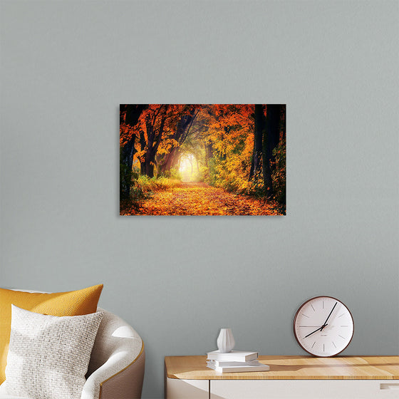 "Forest View in Autumn"