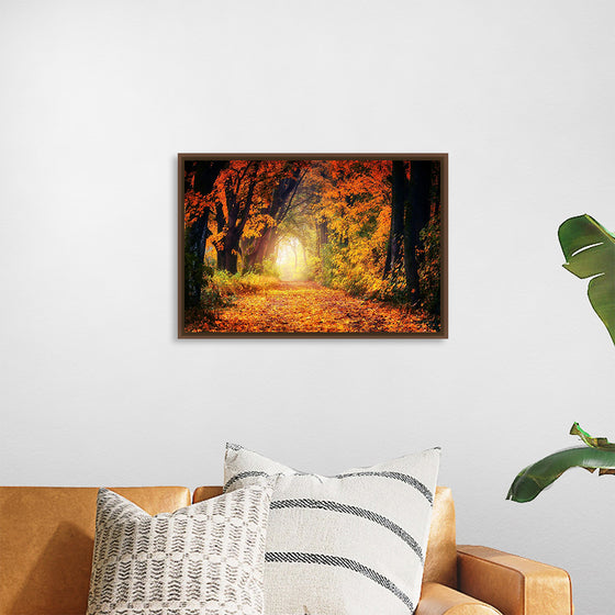 "Forest View in Autumn"