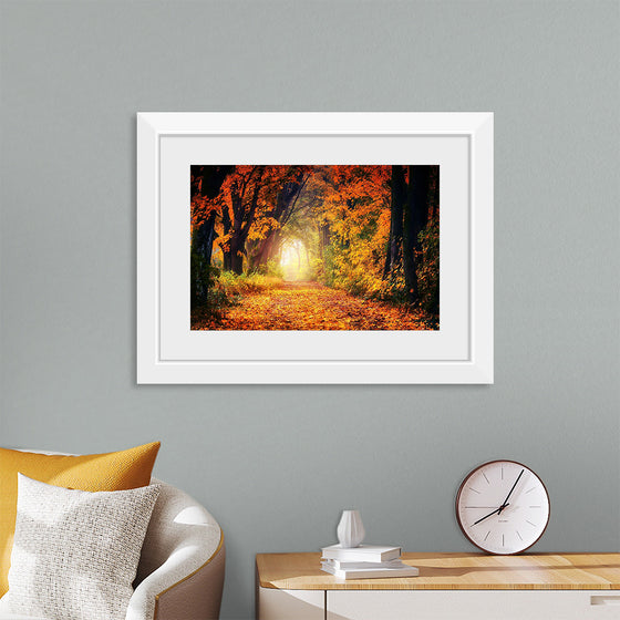 "Forest View in Autumn"