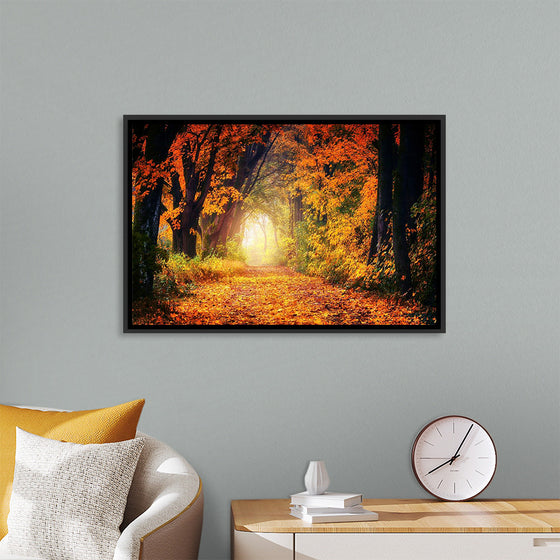 "Forest View in Autumn"