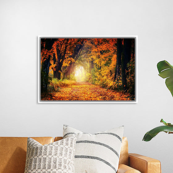 "Forest View in Autumn"