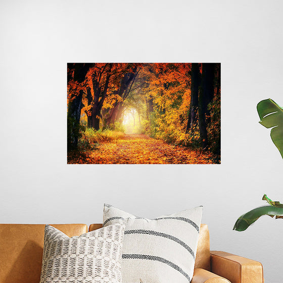 "Forest View in Autumn"