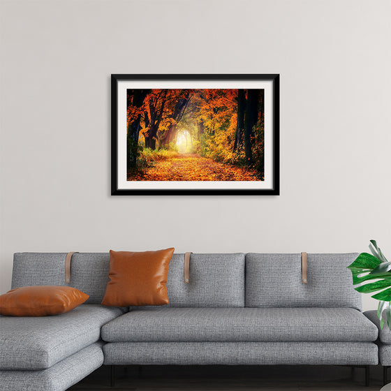 "Forest View in Autumn"