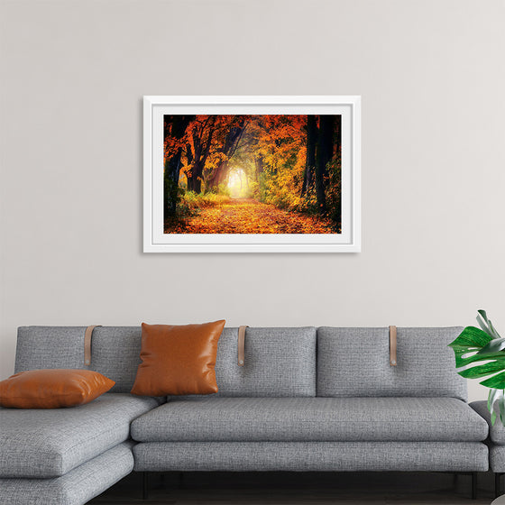 "Forest View in Autumn"