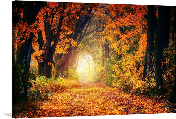 This is a photograph of a path in the woods during fall. The path is lined with trees and covered in leaves, and the sun is shining through the trees. The leaves are in various shades of orange, red, and yellow, and they are falling from the trees in a graceful dance. The sun is casting long shadows on the path, and it is creating a warm and inviting atmosphere.