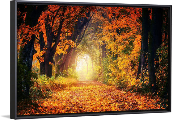 "Forest View in Autumn"