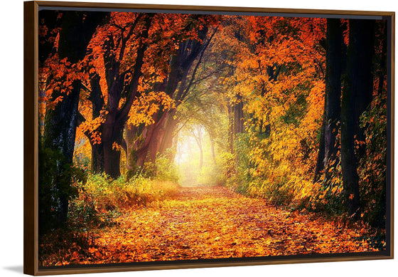 "Forest View in Autumn"