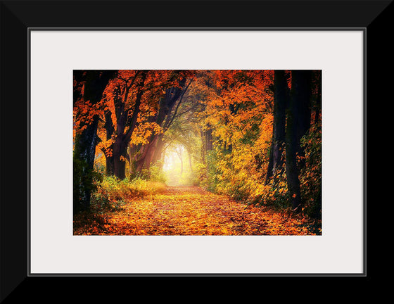 "Forest View in Autumn"