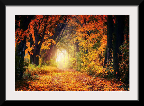 "Forest View in Autumn"