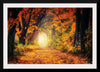 "Forest View in Autumn"