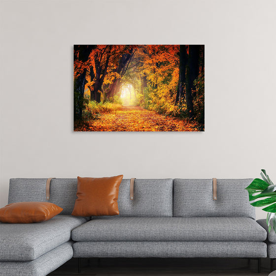 "Forest View in Autumn"