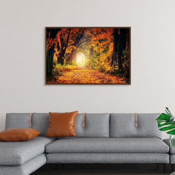 "Forest View in Autumn"