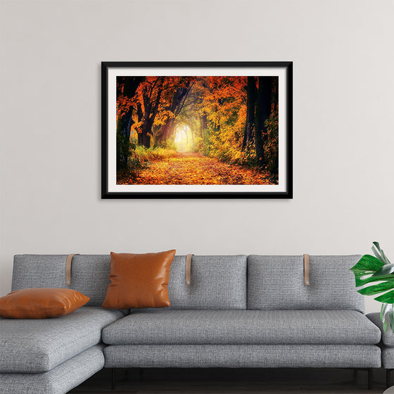 "Forest View in Autumn"