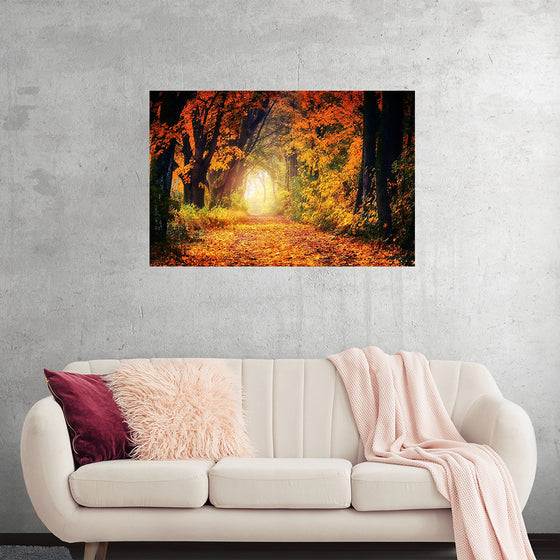 "Forest View in Autumn"