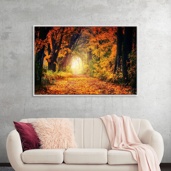 "Forest View in Autumn"