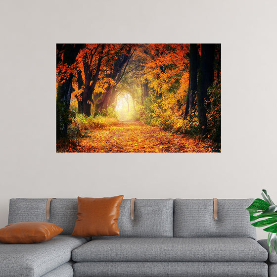 "Forest View in Autumn"