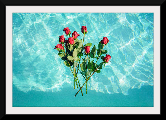 "Red Roses on Teal Background"