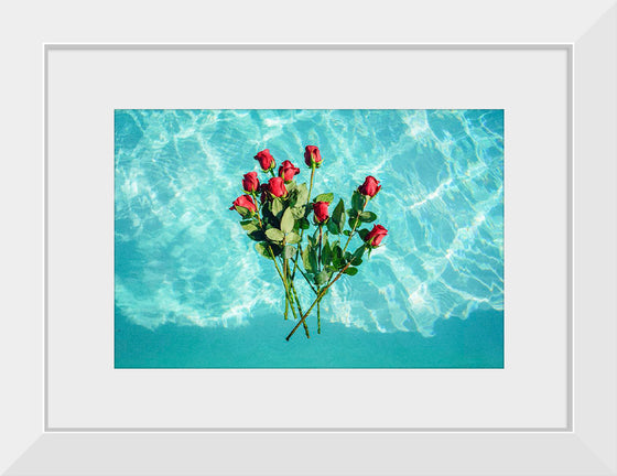 "Red Roses on Teal Background"