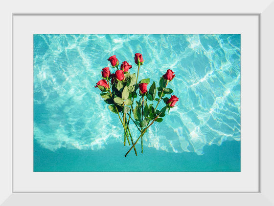 "Red Roses on Teal Background"