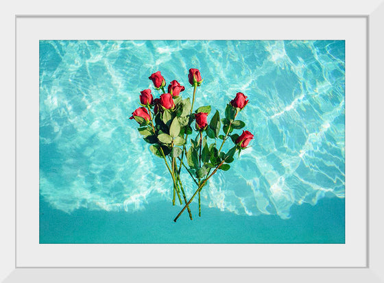 "Red Roses on Teal Background"